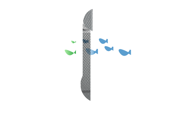 Licenot stage 2